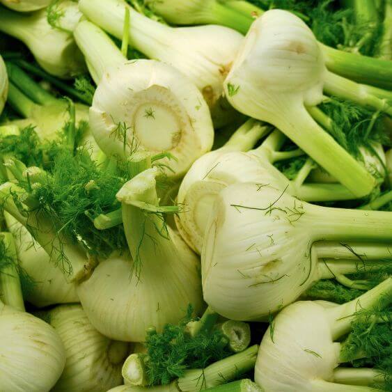 fenouil bio pas cher