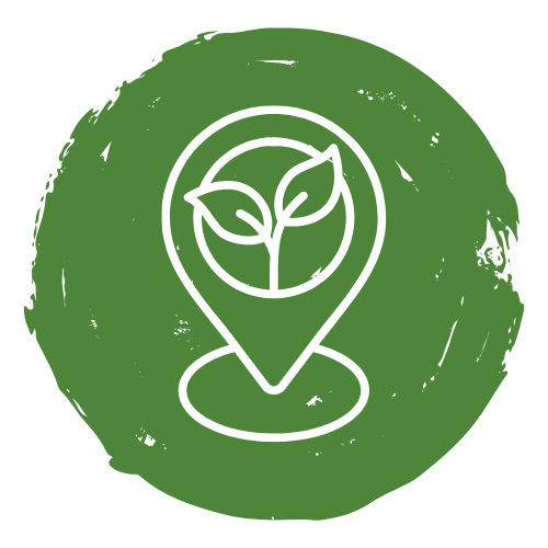 vente directe fruits et légumes bio