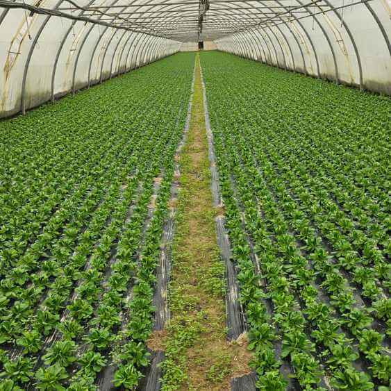 contact producteurs bio Bouches-du-Rhône