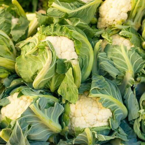 chou-fleur bio pas cher